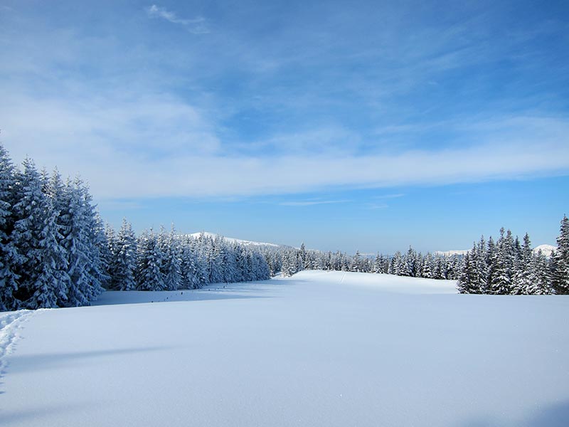 Winterlandschaft